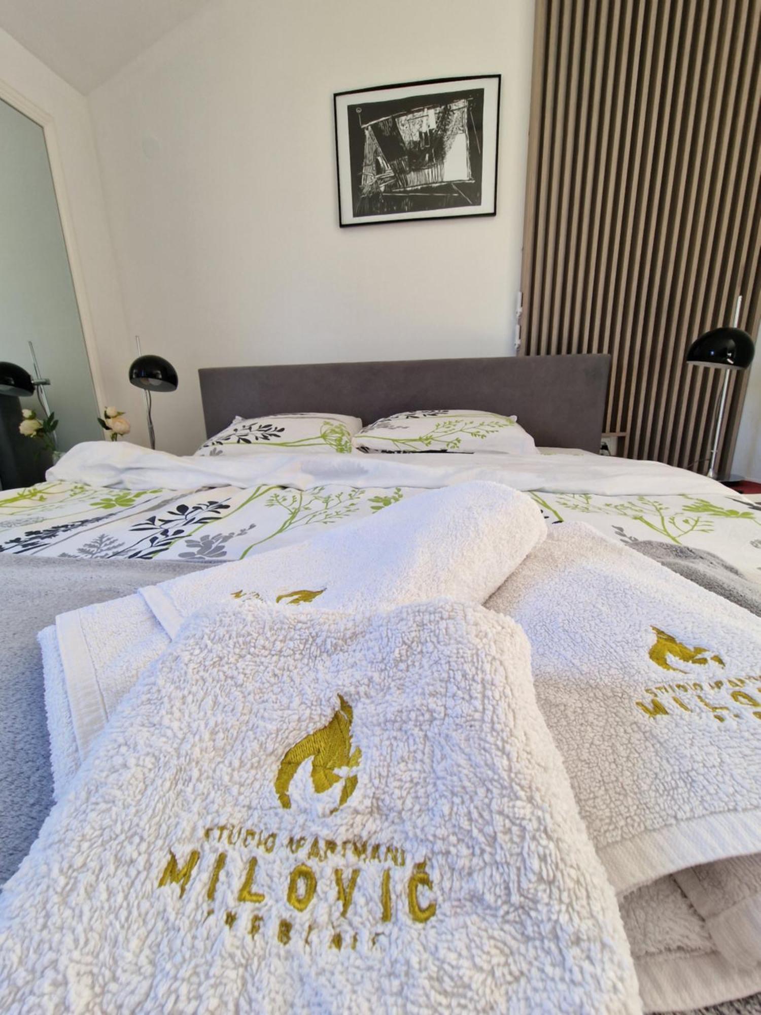 טרביניה Studio Apartmani Milovic מראה חיצוני תמונה