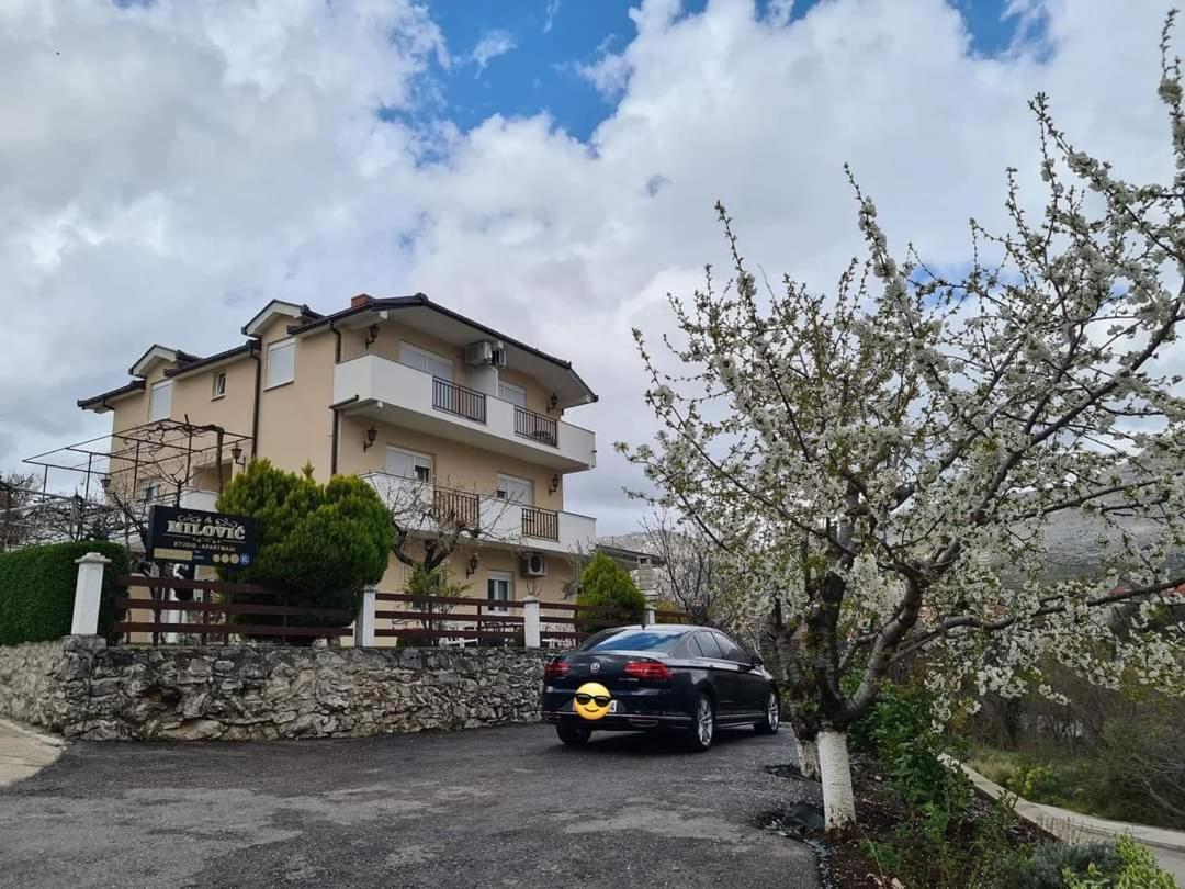 טרביניה Studio Apartmani Milovic מראה חיצוני תמונה