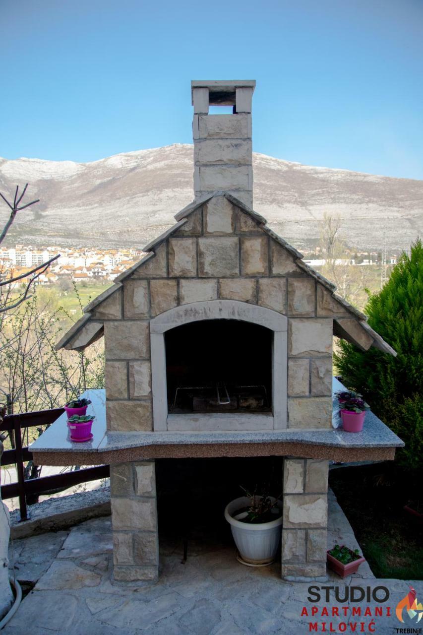 טרביניה Studio Apartmani Milovic מראה חיצוני תמונה