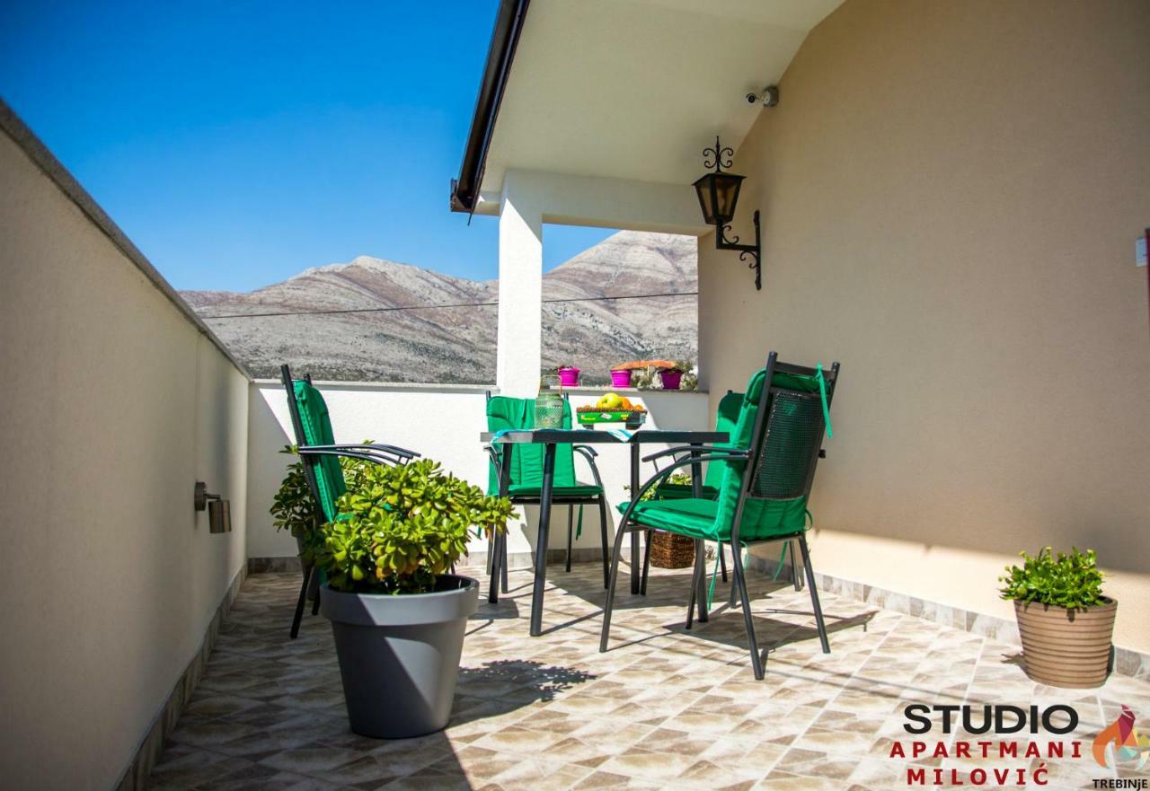 טרביניה Studio Apartmani Milovic מראה חיצוני תמונה